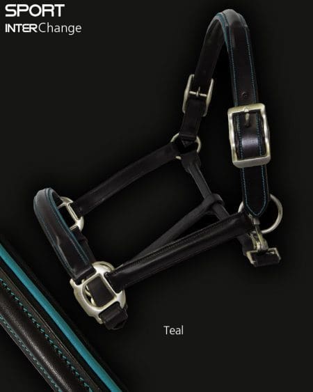 Leather Horse Headcollar Teal Piping