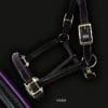 Leather Horse Headcollar Violet Piping