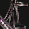 Tyffany Crystal Bridle Lt and Dark Amethyst