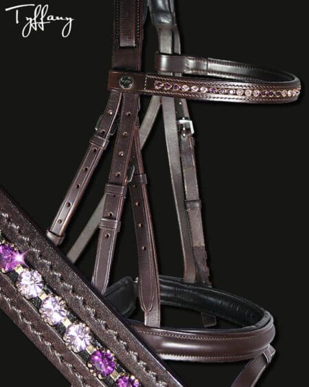 Tyffany Crystal Bridle Lt and Dark Amethyst