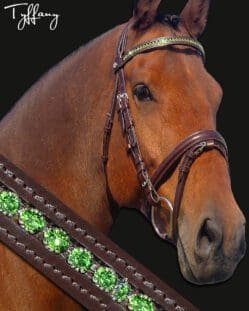 Tyffany Crystal Bridle