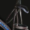 Tyffany Wave Crystal Bridle Capri Blue