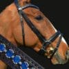 Tyffany Wave Crystal Bridle