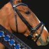 Tyffany Custom Crystal Wave Bridle