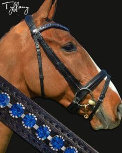 Tyffany Custom Crystal Wave Bridle