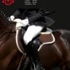 Horse wearing Mattes Long Crescent Girth