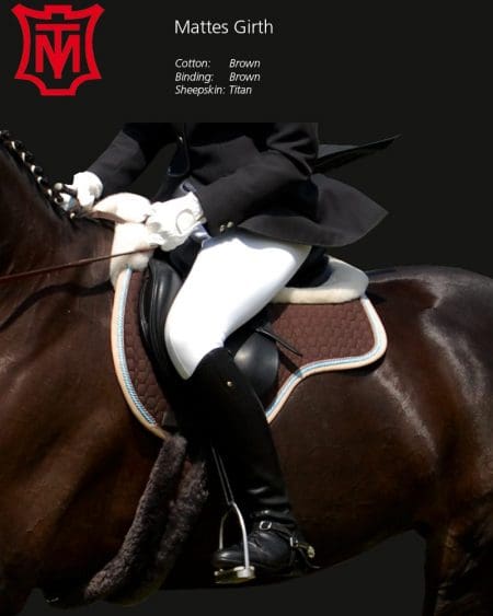 Horse wearing Mattes Long Crescent Girth