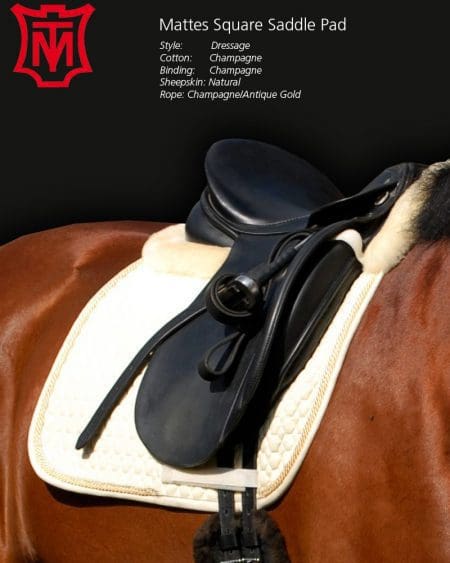 Mattes Dressage Saddle Pad on Horse