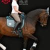 Mattes Eurofit Pad on horse