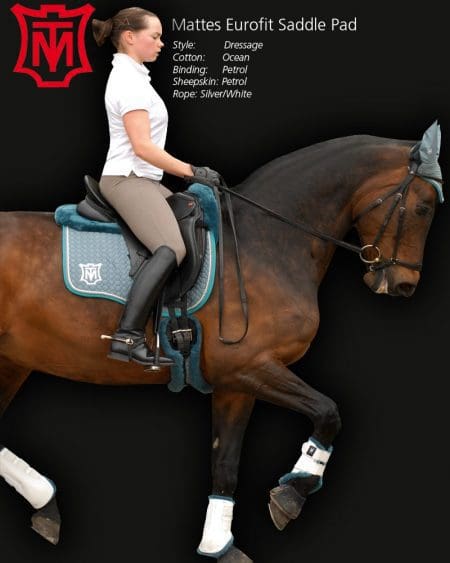 Mattes Eurofit Pad on horse