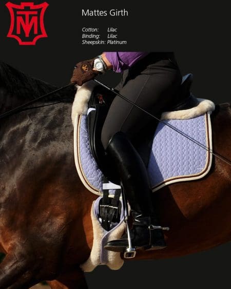 Short athletico Classic dressage Girth