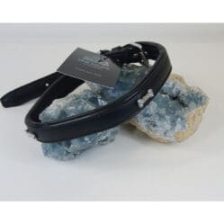 Bones Dog Collar - Black Leather 55cm