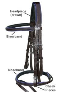 english horse parts of a bridle parts