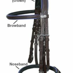 english horse parts of a bridle parts