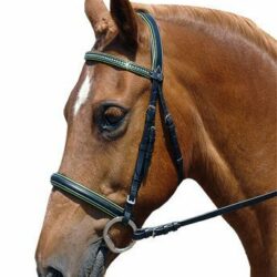 How to fit a bridle