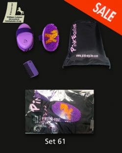 Pony Grooming Kit Purple