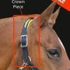 Headcollar Crown Part