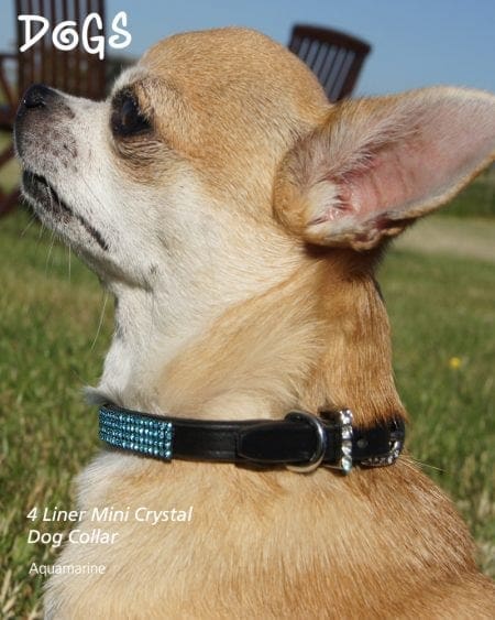 4 Liner Mini Crystal Dog Collar Aquamarine