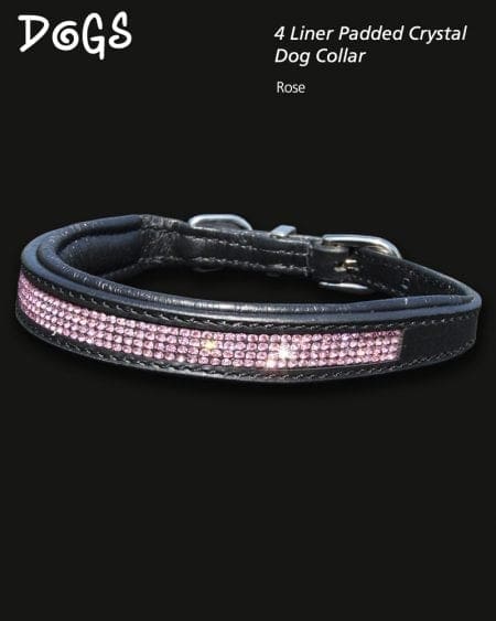 4 liner padded rose crystal dog collar