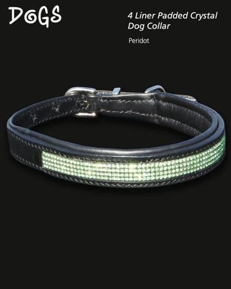 4 liner peridot coloured crystal padded dog collar