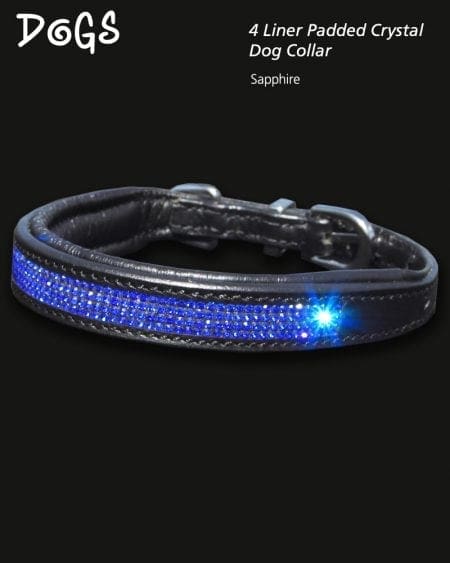 4 liner sapphire crystal padded dog collar