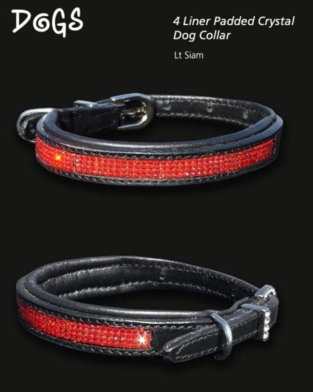 4 liner siam crystal padded dog collar