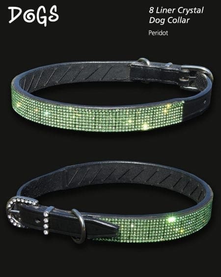 Stunning designer diamond dog collars