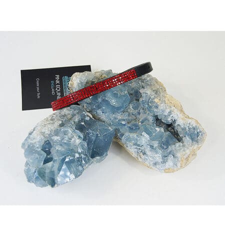 Dog Collar straight with Lt Siam Stones