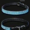 Aquamarine Crystal Diamond Encrusted Dog Collar