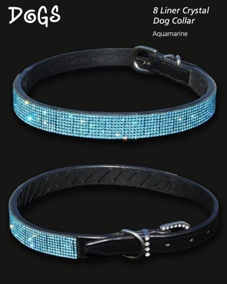 Aquamarine Crystal Diamond Encrusted Dog Collar