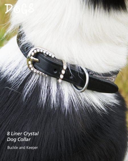 Crystal buckle and keeper on dog collar