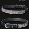 Diamond Dog Collars