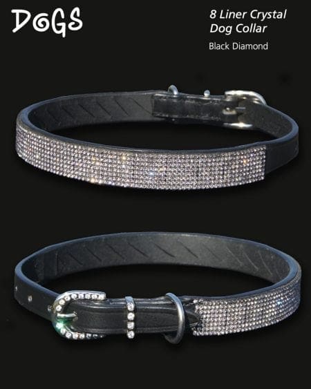 Diamond dogs collars sale