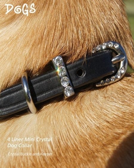 mini wave dog collar buckle and keeper