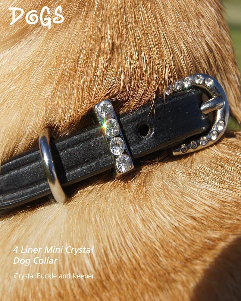Diamante Crystal Dog Collars set with 4 rows of cut stones