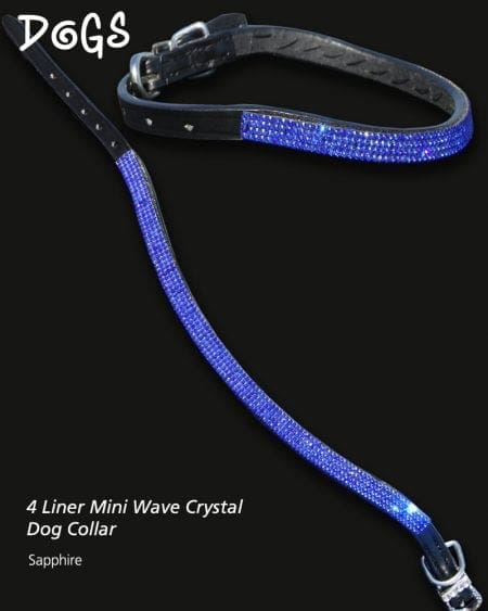 Sapphire colour crystal wave dog collar