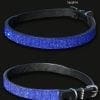 Sapphire Crystal Diamond Encrusted Dog Collar