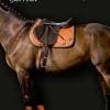 Lauria Garrelli range of horse tack