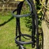 Atlantic Black Bridle showing Flash Noseband