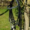 Atlantic Black Bridle showing Grackle Noseband