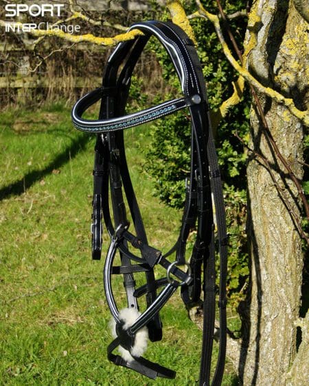 Atlantic Black Bridle showing Grackle Noseband