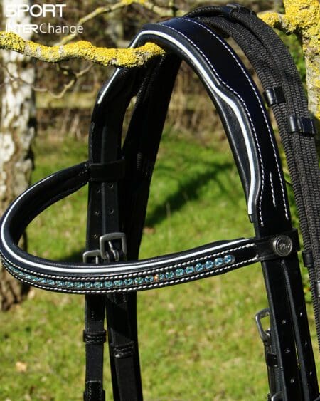 Atlantic Black Top Part showing Browband