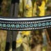 Black Baby Blue Browband