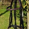 Black Red Bridle Main