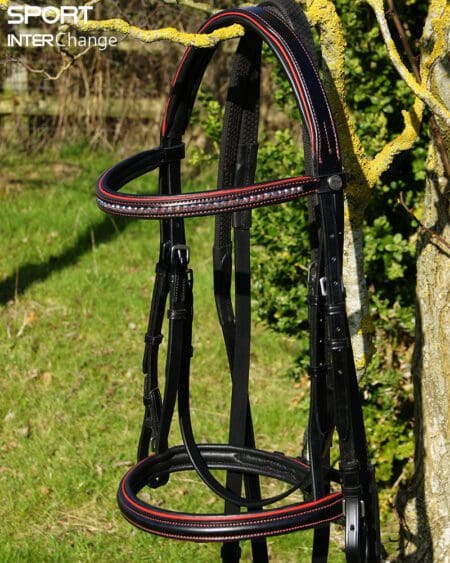 Black Red Bridle Main