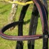 Black Red Bridle Top Part