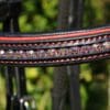 Black Red Browband