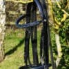Royal Blue Black Bridle Main