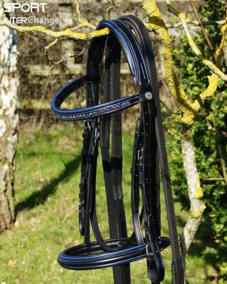 Royal Blue Black Bridle Main