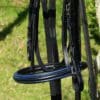 Royal Blue Black Noseband